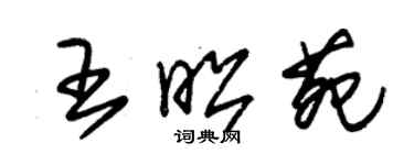 朱锡荣王昭苑草书个性签名怎么写