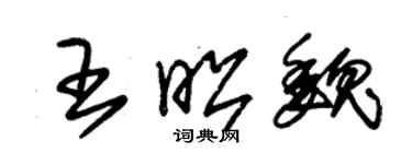 朱锡荣王昭魏草书个性签名怎么写
