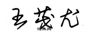 朱锡荣王茂尤草书个性签名怎么写