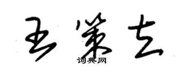 朱锡荣王策立草书个性签名怎么写