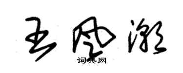 朱锡荣王风潮草书个性签名怎么写