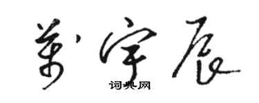 骆恒光万宇辰草书个性签名怎么写