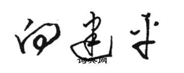 骆恒光向建平草书个性签名怎么写