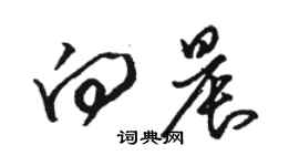 骆恒光向晨草书个性签名怎么写