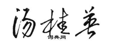 骆恒光汤桂英草书个性签名怎么写
