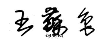 朱锡荣王苏鲁草书个性签名怎么写