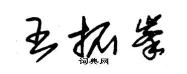 朱锡荣王拓峰草书个性签名怎么写