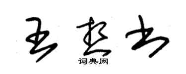 朱锡荣王想书草书个性签名怎么写