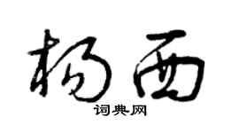 曾庆福杨西草书个性签名怎么写