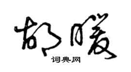曾庆福胡暖草书个性签名怎么写