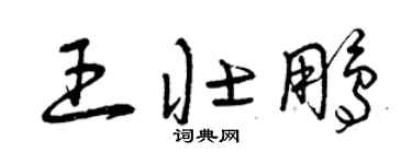 曾庆福王壮鹏草书个性签名怎么写