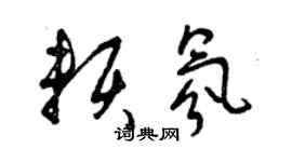 曾庆福赖氛草书个性签名怎么写