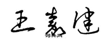 曾庆福王嘉健草书个性签名怎么写
