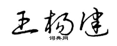 曾庆福王杨健草书个性签名怎么写