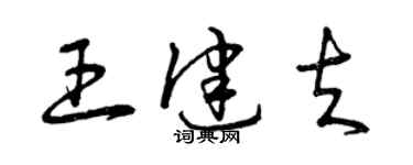 曾庆福王健夫草书个性签名怎么写