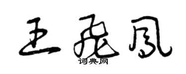 曾庆福王飞凤草书个性签名怎么写