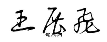 曾庆福王展飞草书个性签名怎么写