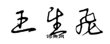 曾庆福王望飞草书个性签名怎么写
