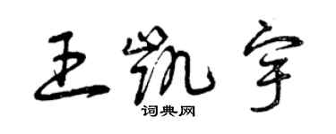 曾庆福王凯宇草书个性签名怎么写