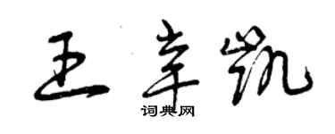 曾庆福王辛凯草书个性签名怎么写