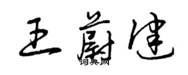 曾庆福王蔚健草书个性签名怎么写