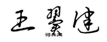 曾庆福王翼健草书个性签名怎么写