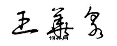 曾庆福王华泉草书个性签名怎么写