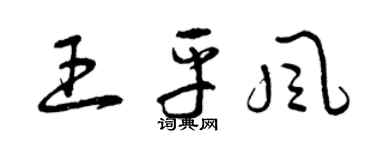 曾庆福王平风草书个性签名怎么写
