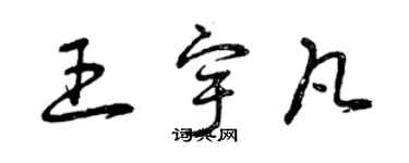 曾庆福王宇凡草书个性签名怎么写