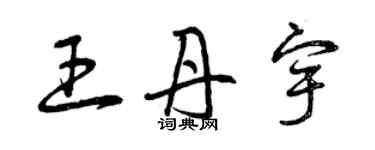 曾庆福王丹宇草书个性签名怎么写