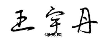 曾庆福王宇丹草书个性签名怎么写