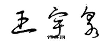 曾庆福王宇泉草书个性签名怎么写