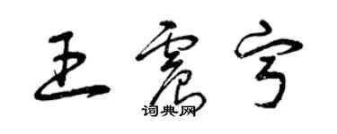 曾庆福王震宁草书个性签名怎么写