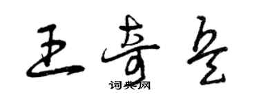 曾庆福王奇兵草书个性签名怎么写