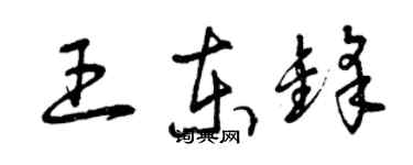 曾庆福王东锋草书个性签名怎么写