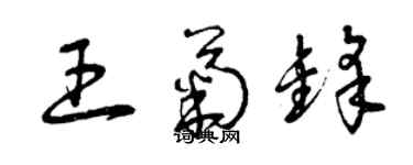 曾庆福王菊锋草书个性签名怎么写