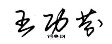 朱锡荣王功芬草书个性签名怎么写