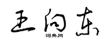 曾庆福王向东草书个性签名怎么写