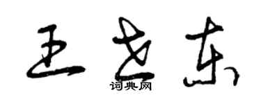 曾庆福王世东草书个性签名怎么写