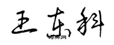 曾庆福王东科草书个性签名怎么写