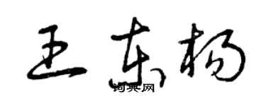 曾庆福王东杨草书个性签名怎么写