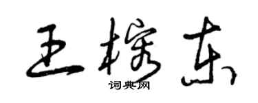 曾庆福王榕东草书个性签名怎么写