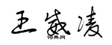 曾庆福王威凌草书个性签名怎么写