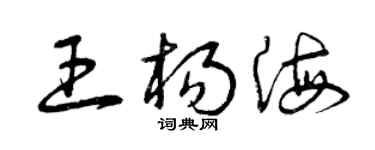 曾庆福王杨海草书个性签名怎么写