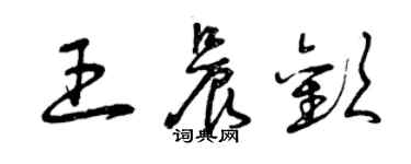 曾庆福王晨欢草书个性签名怎么写