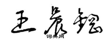曾庆福王晨钢草书个性签名怎么写