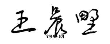 曾庆福王晨野草书个性签名怎么写
