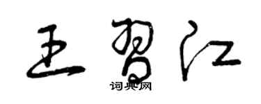 曾庆福王习江草书个性签名怎么写