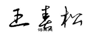 曾庆福王春松草书个性签名怎么写
