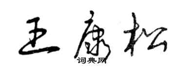 曾庆福王康松草书个性签名怎么写